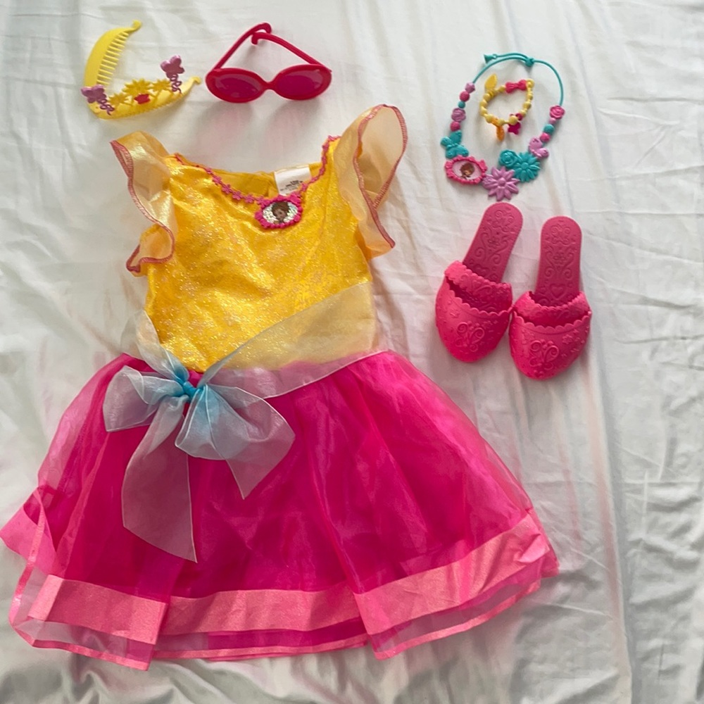 Fancy Nancy costume with all accessories size 4-6X